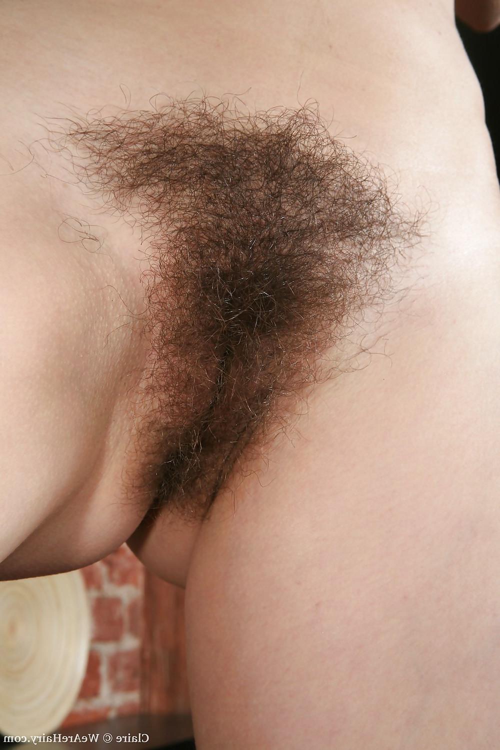 20P Hairy Close Up