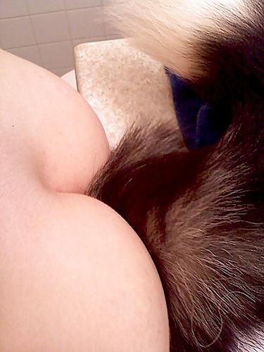 25P Tail butt plugs 2