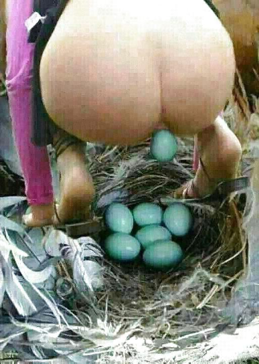 18P Sexy Butt Funny