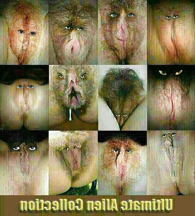 18P Sexy Butt Funny