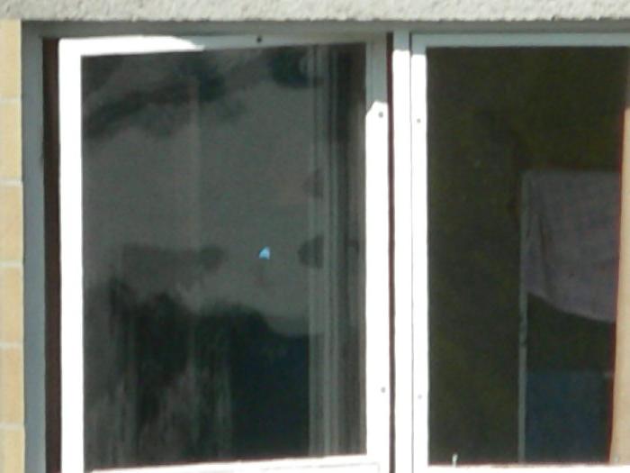 25P Wondow Voyeur