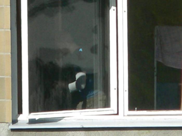 25P Wondow Voyeur