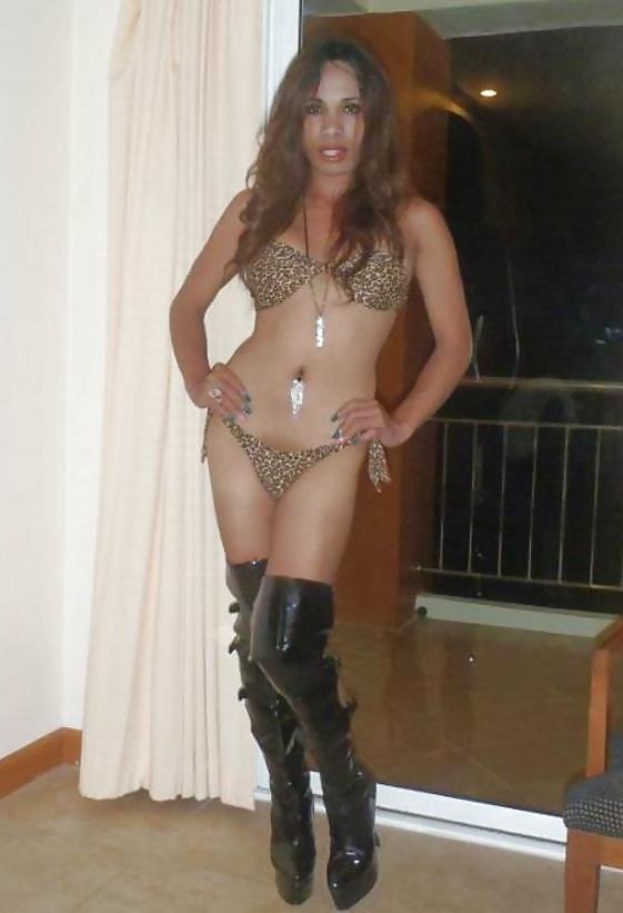12P Sexy Asian Ladyboys