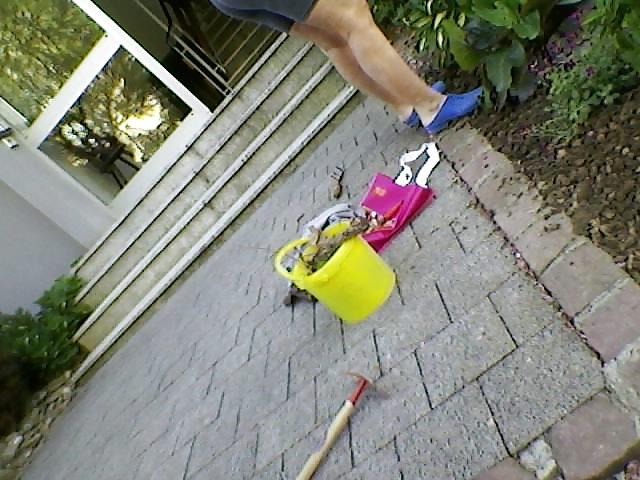 6P Voyeur Girl Scissor hum