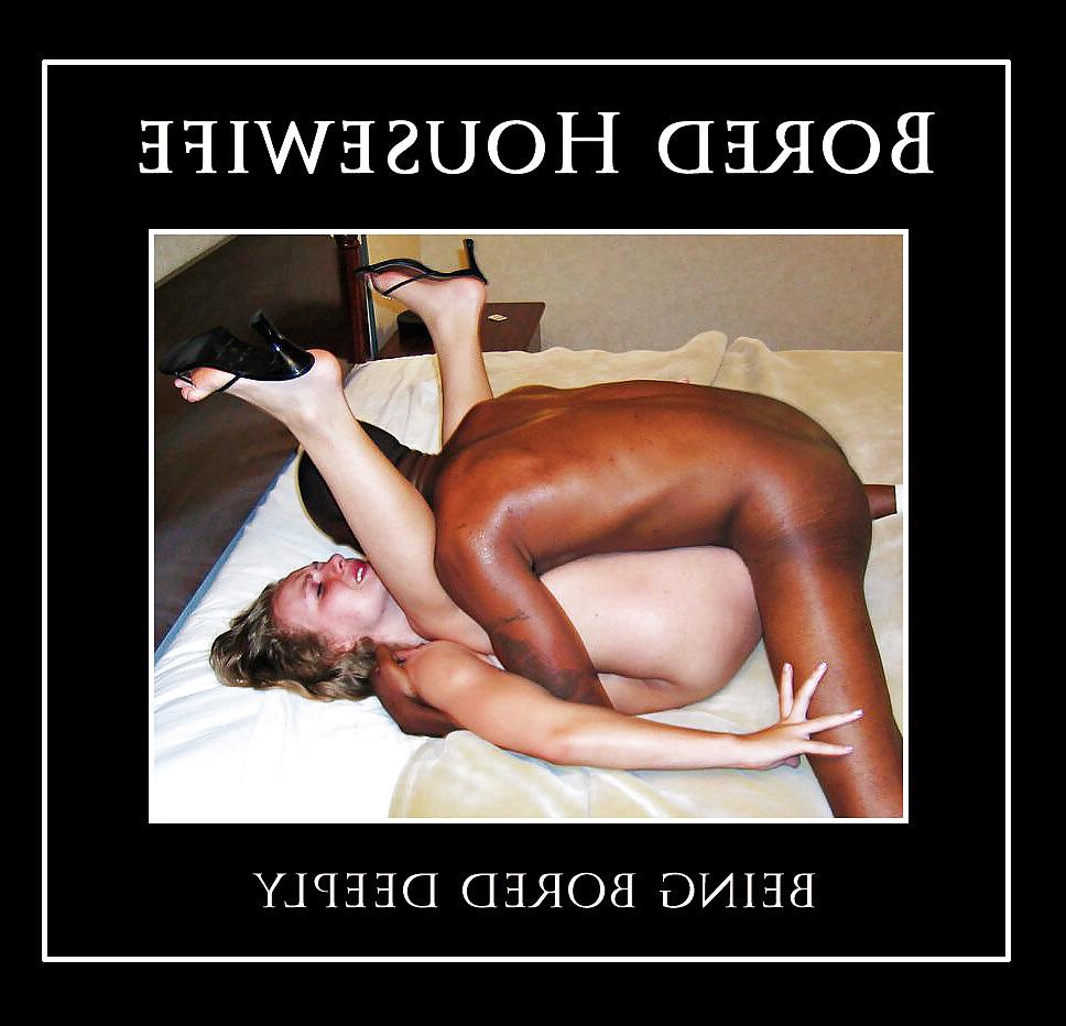 13P Black Cock Rules - OK? (2)