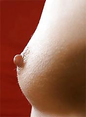 24P Nipples