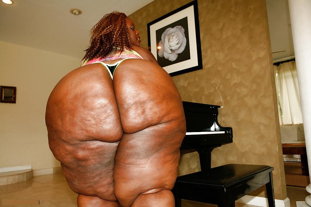 19P DO YOU LOVE BBW BIG BOOTY ? VOL. 2 