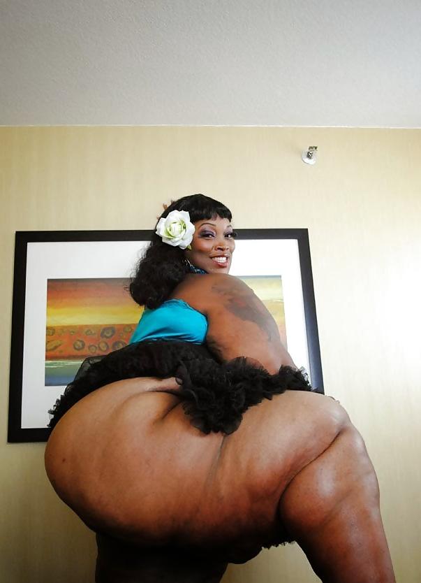 19P DO YOU LOVE BBW BIG BOOTY ? VOL. 2 