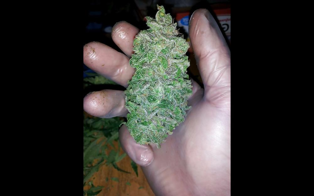 20P Nug Porn