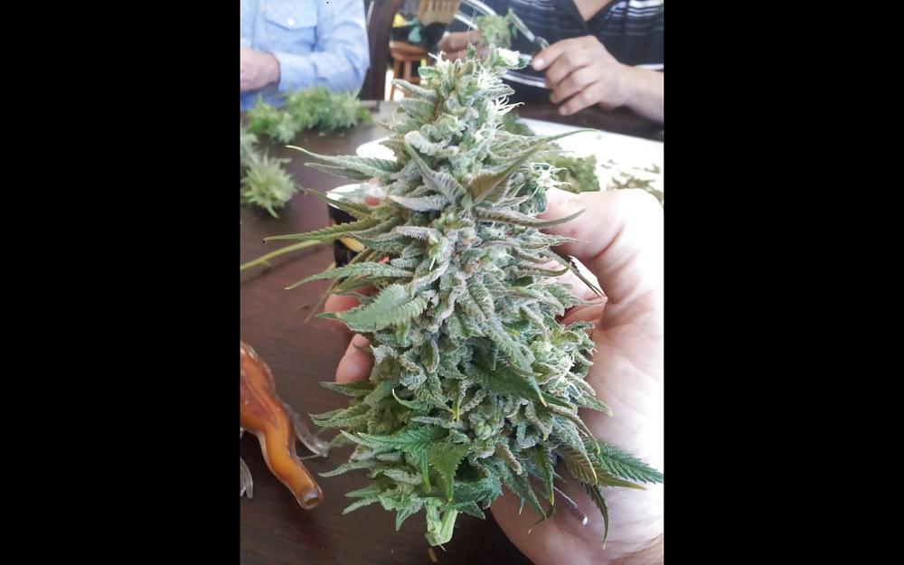 20P Nug Porn