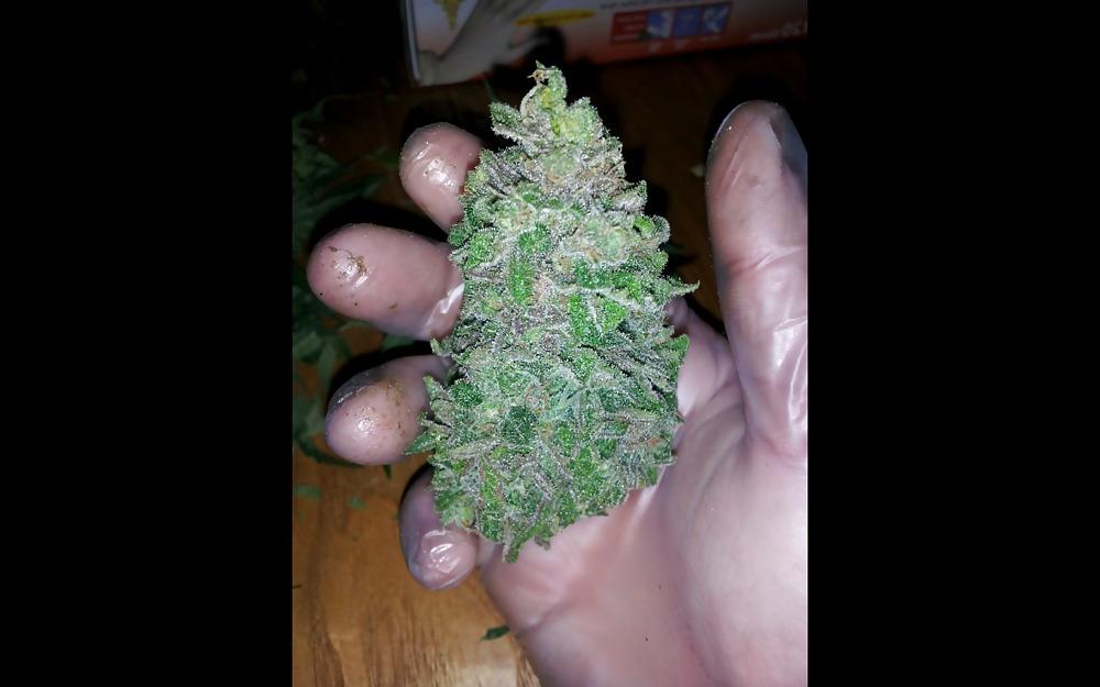 20P Nug Porn