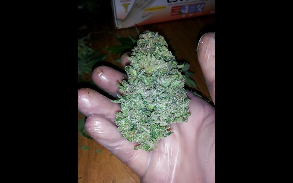20P Nug Porn