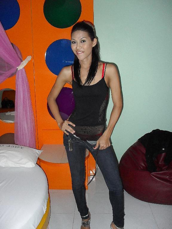16P Ladyboy Pack from Pattaya