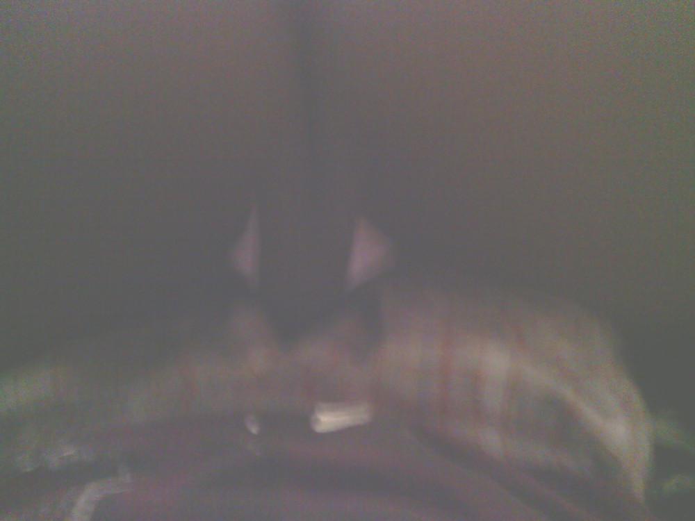 12P Me fucking my black ex young teen 