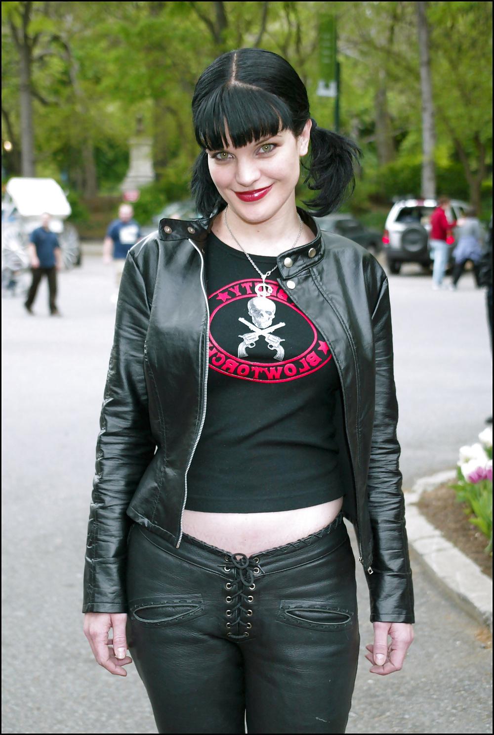 25P Pauley perrette
