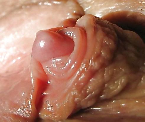 23P Nipples and Clits