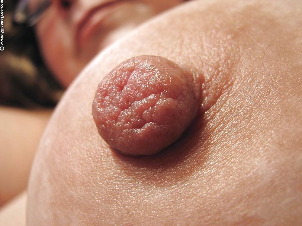 23P Nipples and Clits