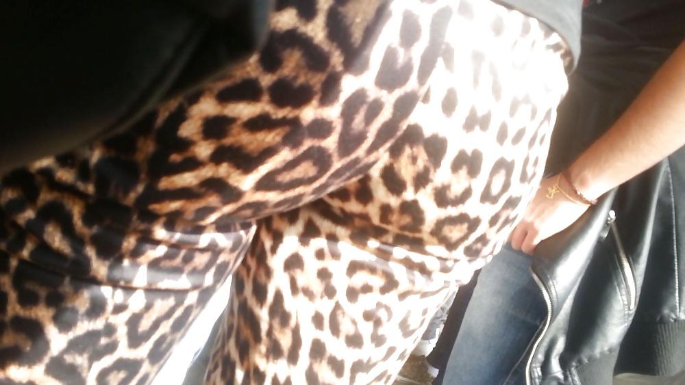 16P Spy hot ass romanian-gaoaza leopard