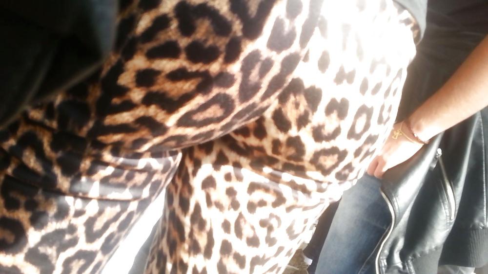 16P Spy hot ass romanian-gaoaza leopard