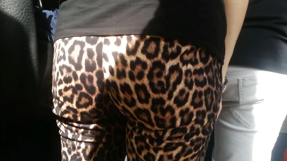 16P Spy hot ass romanian-gaoaza leopard