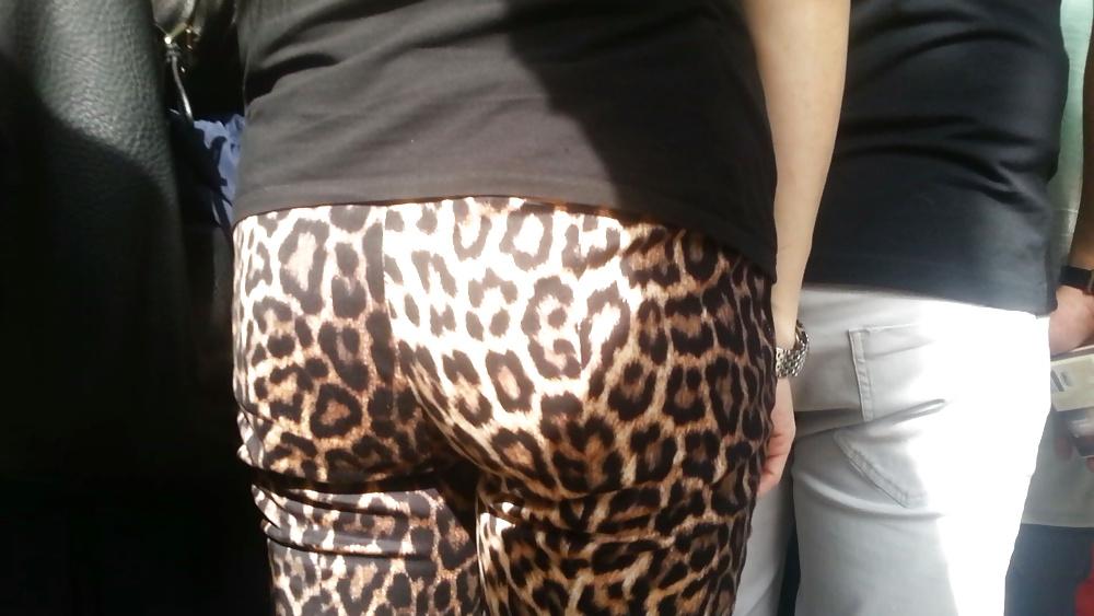 16P Spy hot ass romanian-gaoaza leopard