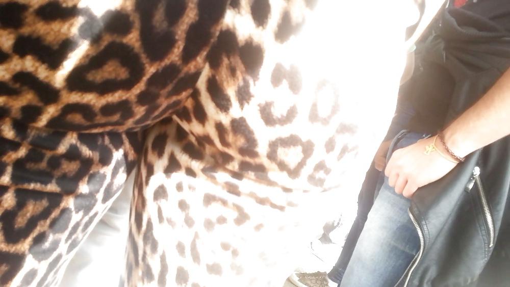 16P Spy hot ass romanian-gaoaza leopard