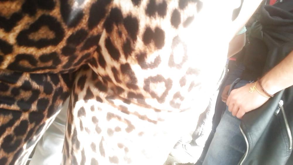 16P Spy hot ass romanian-gaoaza leopard