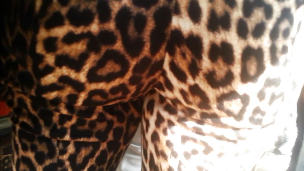 16P Spy hot ass romanian-gaoaza leopard