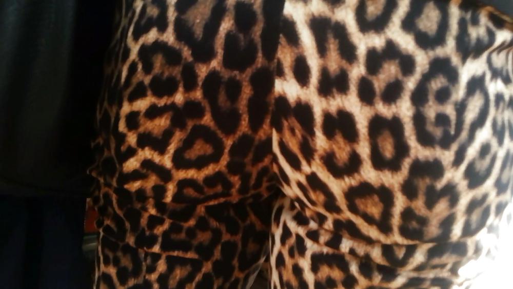 16P Spy hot ass romanian-gaoaza leopard