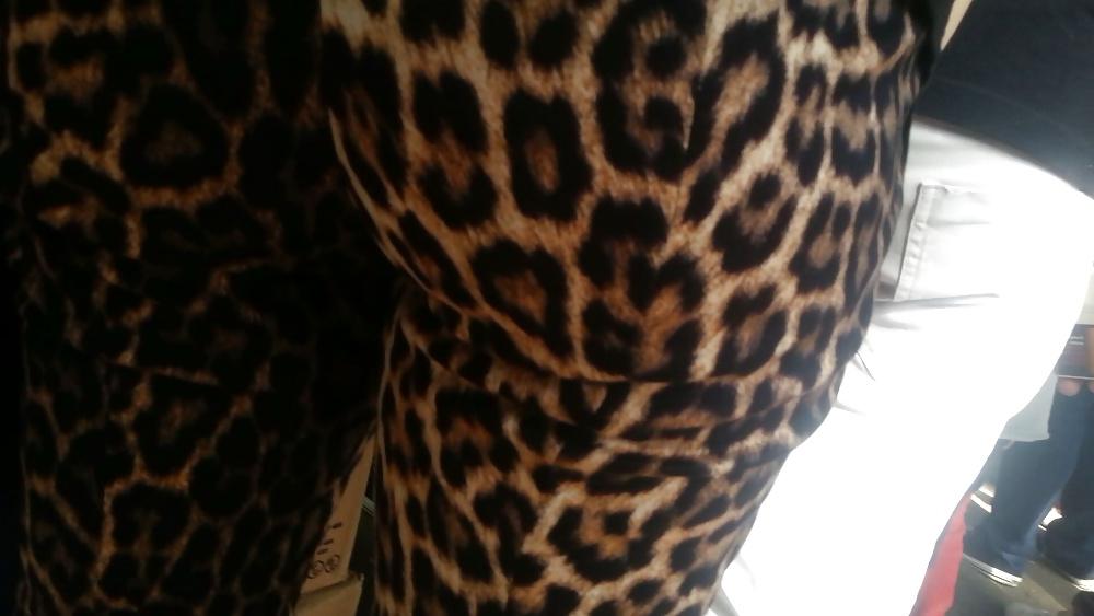16P Spy hot ass romanian-gaoaza leopard