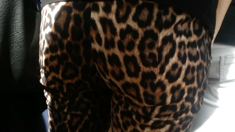 16P Spy hot ass romanian-gaoaza leopard
