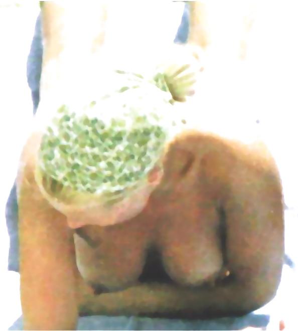 10P Denise van outen