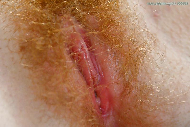 24P Pussy - Vagina