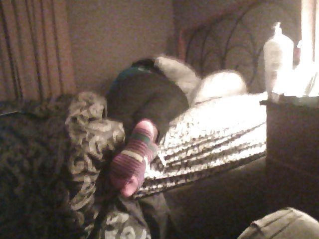7P All night anal action