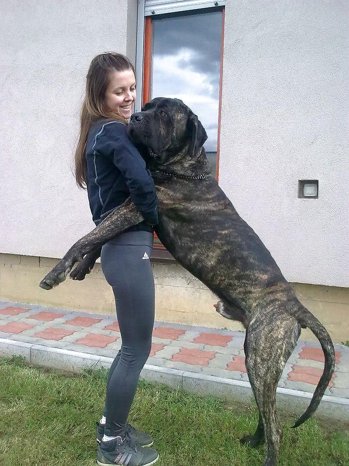 25P Balkan babes in yoga pants