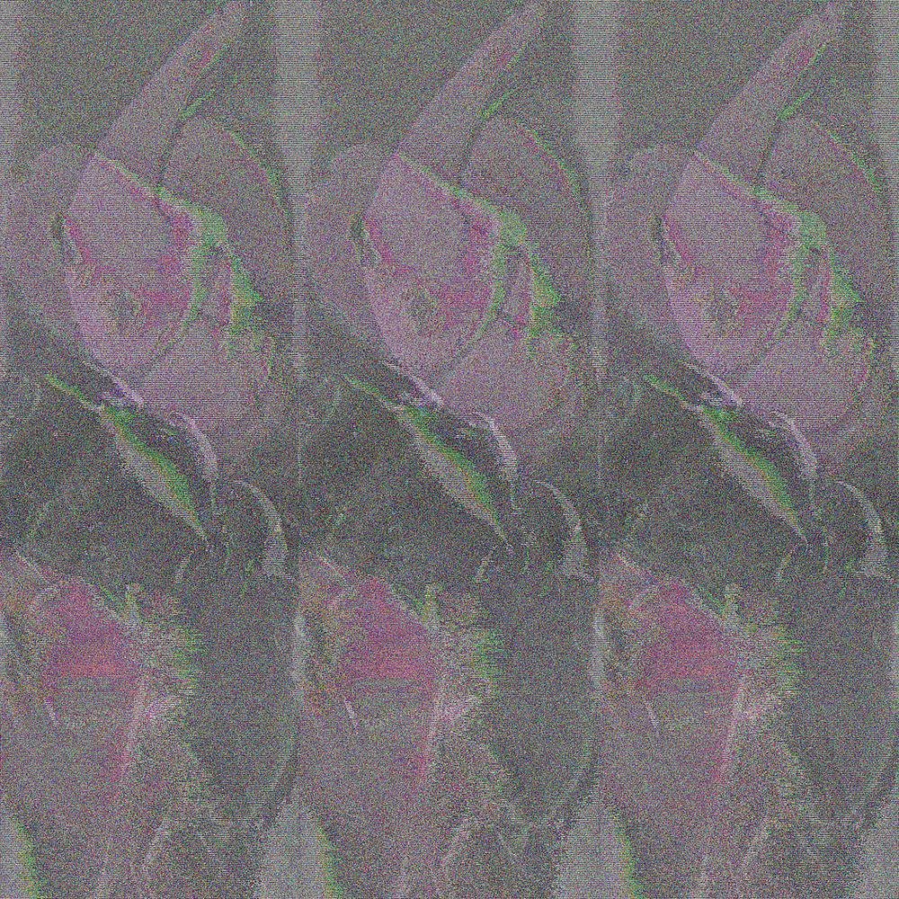 23P Arselicker Glitch Porn 01