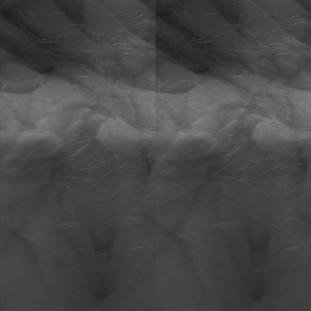 23P Arselicker Glitch Porn 01