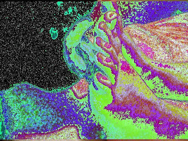 23P Arselicker Glitch Porn 01