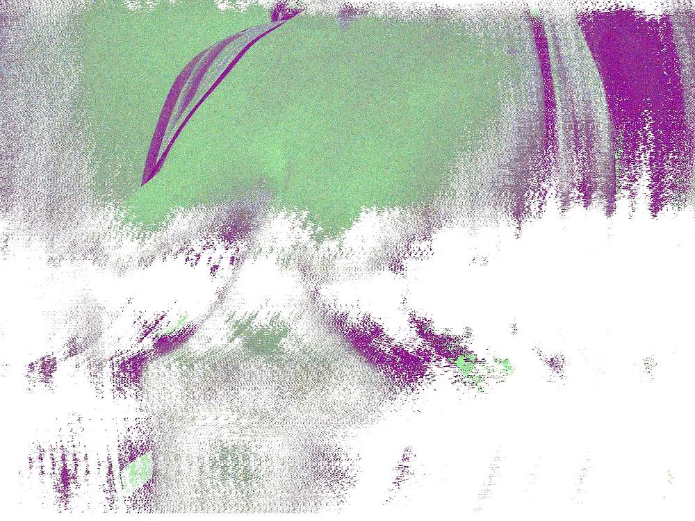 23P Arselicker Glitch Porn 01