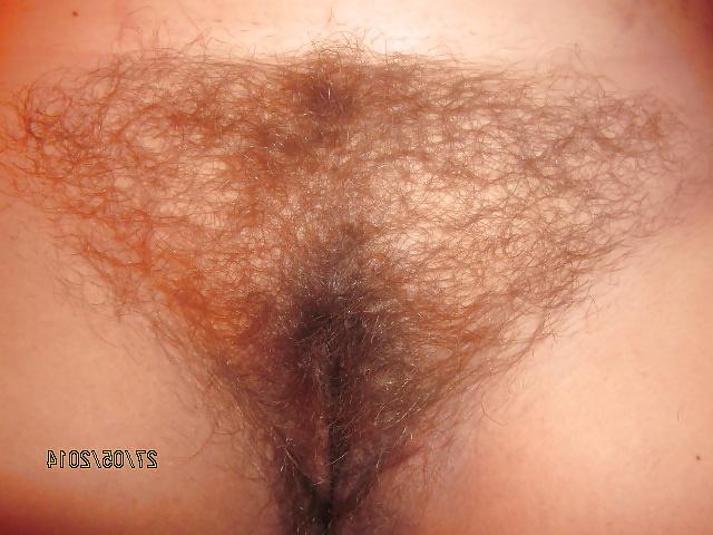21P Close Up Hairy