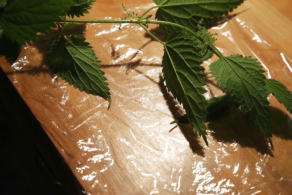 11P Wrapping nettles round cock with cling film