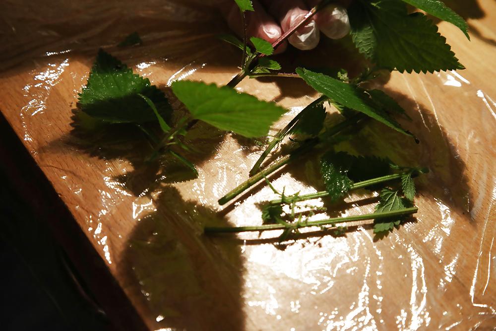 11P Wrapping nettles round cock with cling film