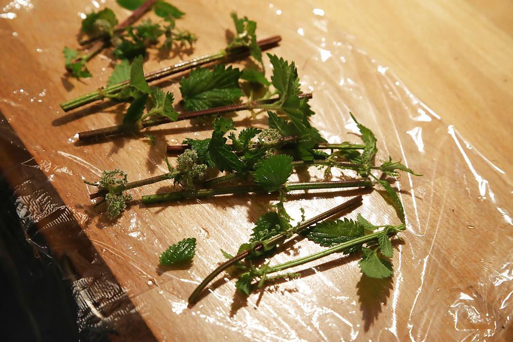 11P Wrapping nettles round cock with cling film