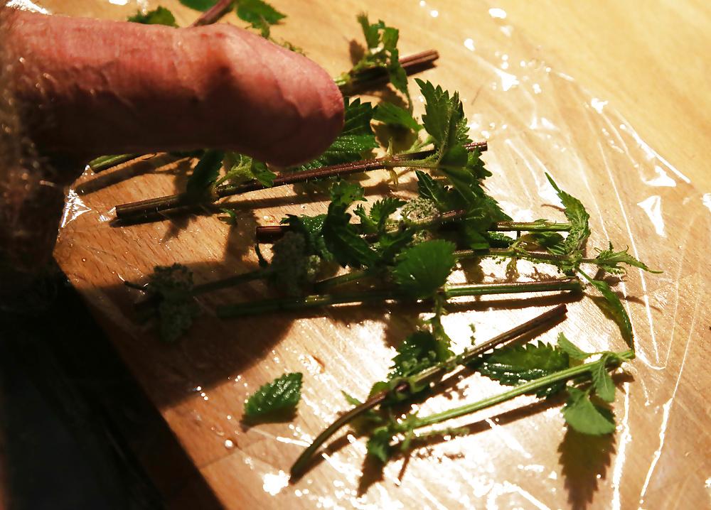 11P Wrapping nettles round cock with cling film
