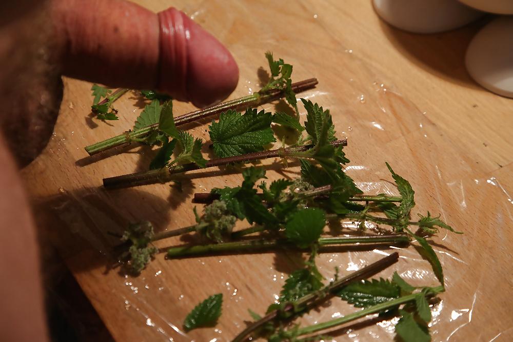 11P Wrapping nettles round cock with cling film