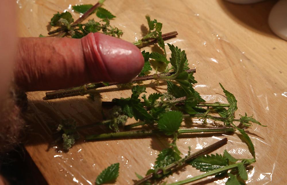 11P Wrapping nettles round cock with cling film
