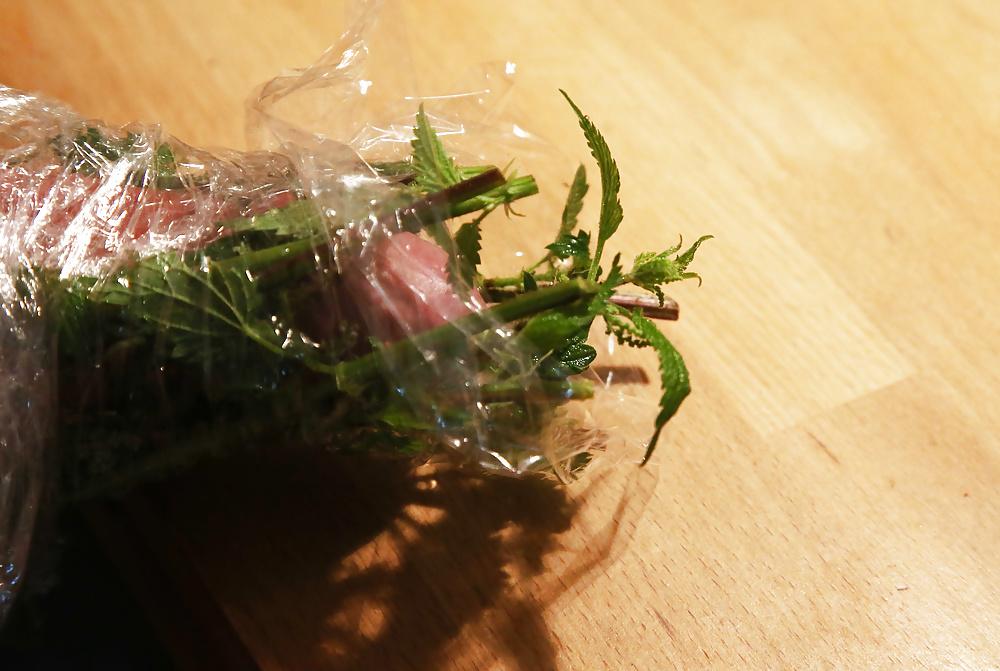 11P Wrapping nettles round cock with cling film
