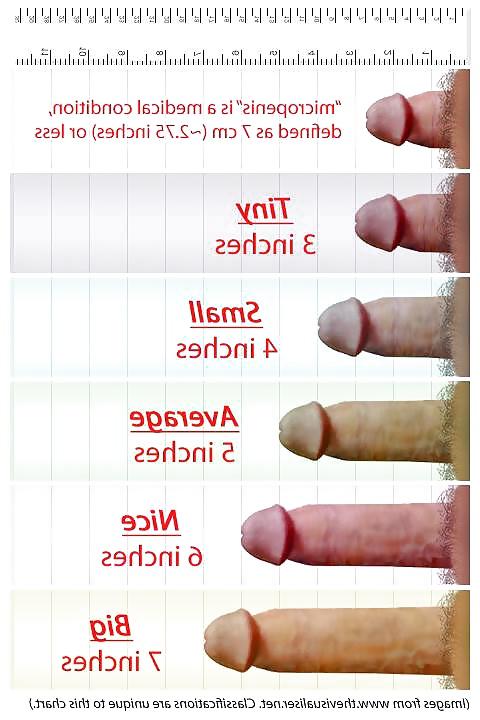 17P Small cocks