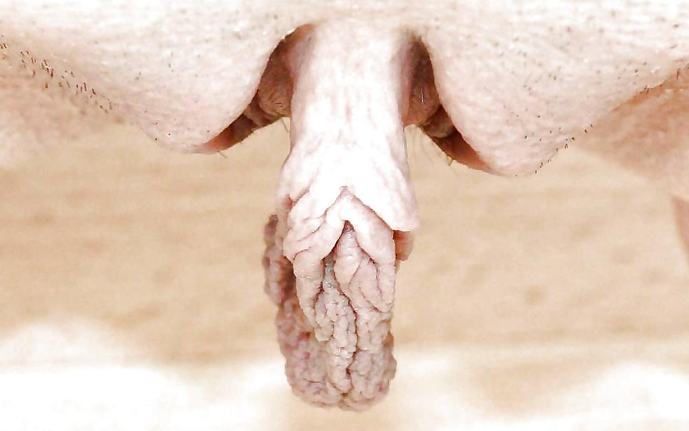 25P PUSSY SHOW - CLIT AND FLAPS