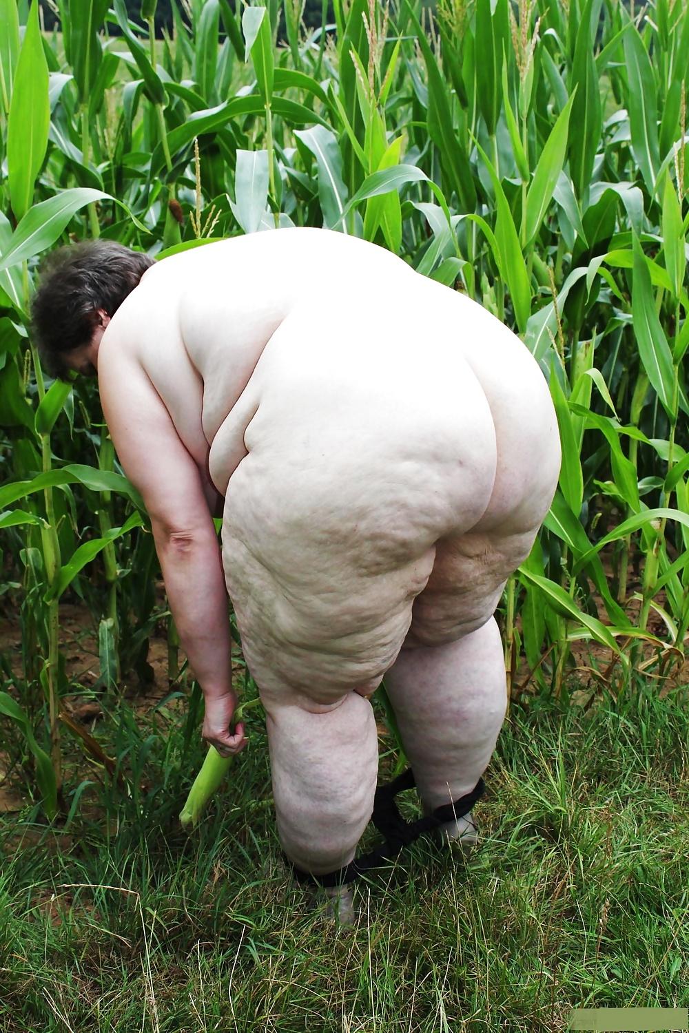 11P AMATEUR MATURES GRANNIES BBW BIG BOOBS BIG ASS 34